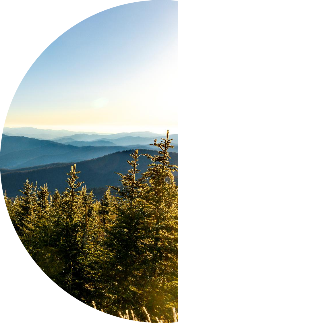 Layered blue mountain ridges stretching into the distance above a forest of evergreen trees under a clear sky, viewed through a circular crop.