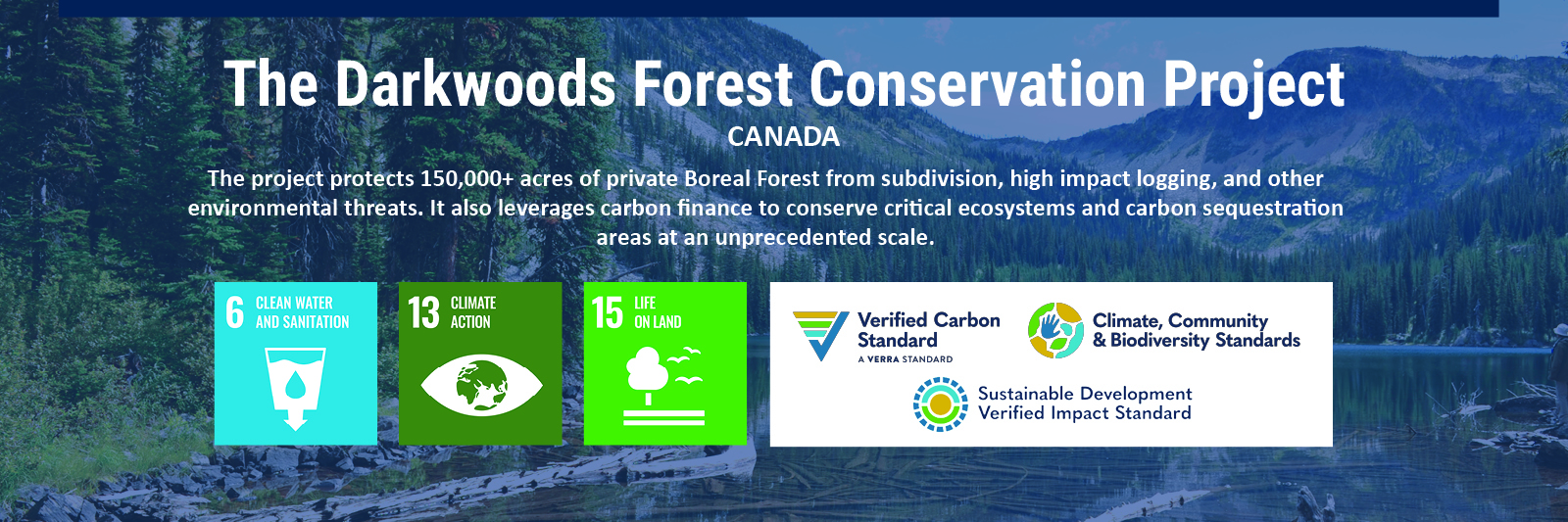 Darkwoods forest conservation project