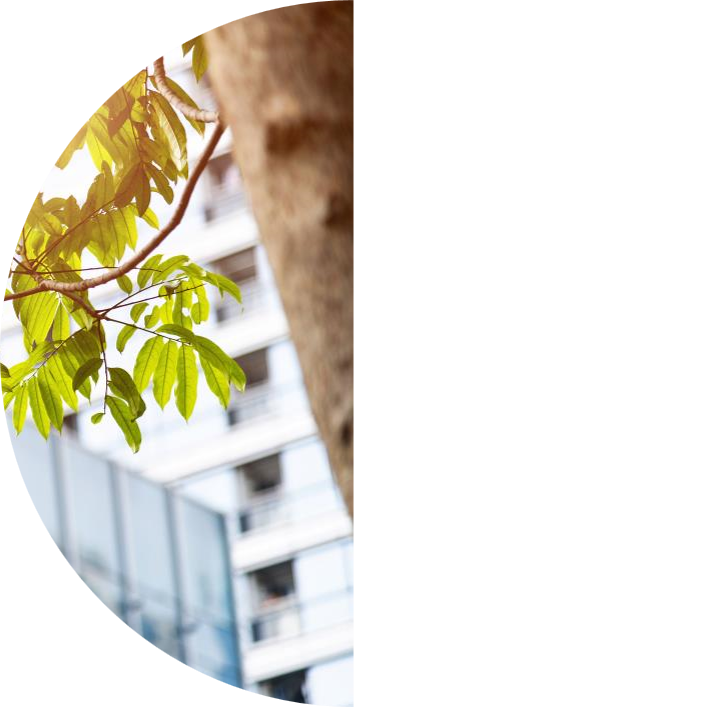 Oval-cropped image of sunlit green leaves on a tree branch with a blurred modern apartment building in the background.