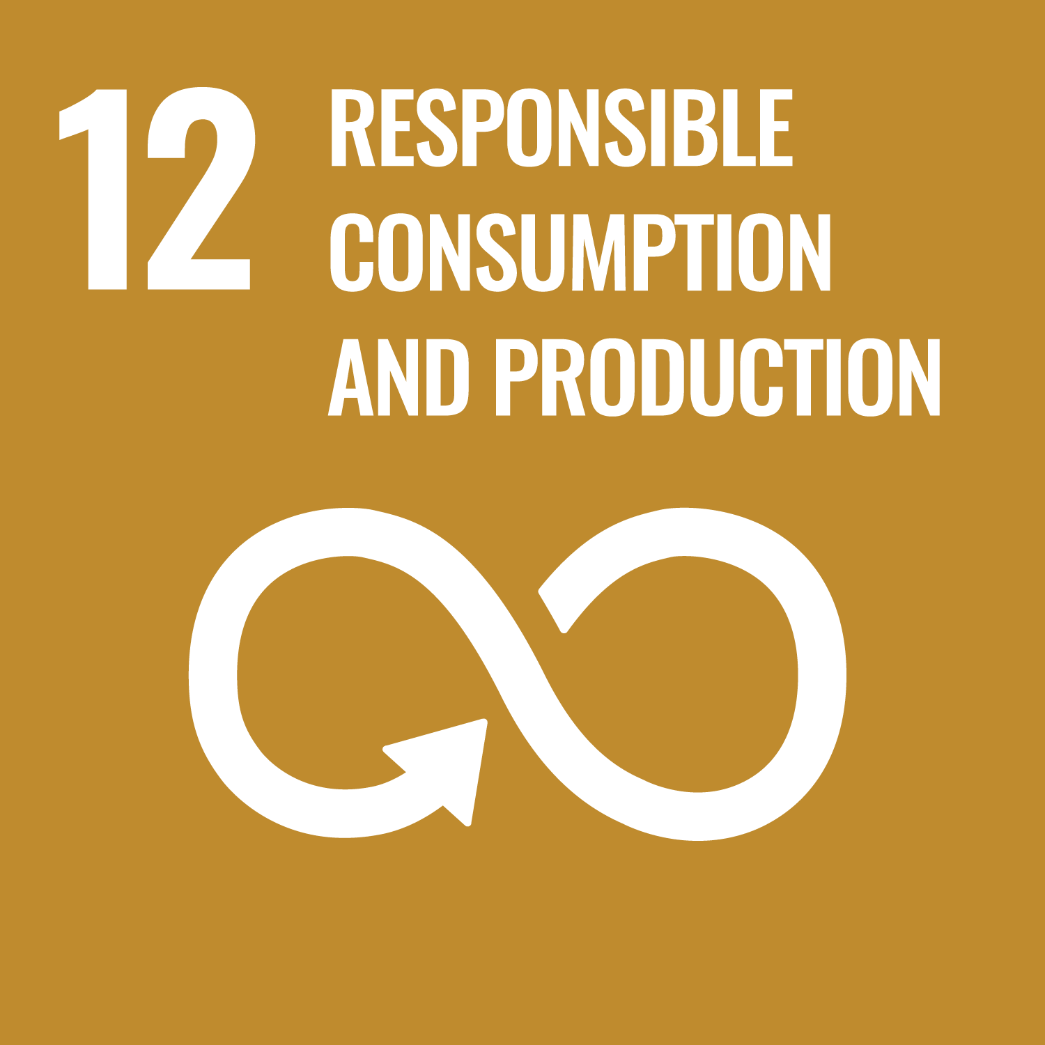 SDG 12 icon responsible consumption and production