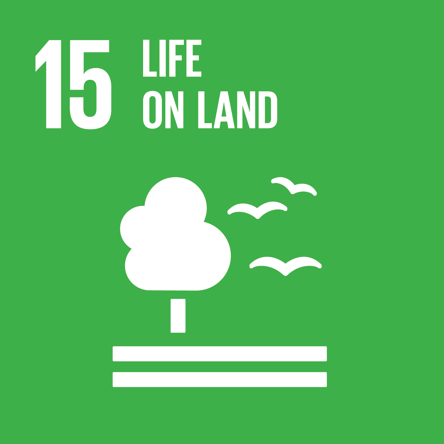 SDG 15 logo life on land