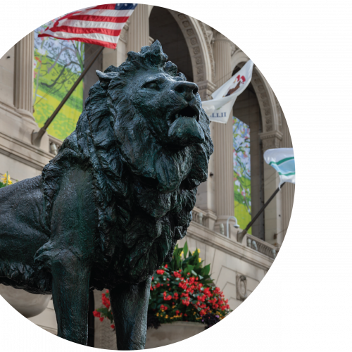 Website Image-01