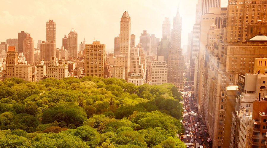 Central park from high rise building during golden hour