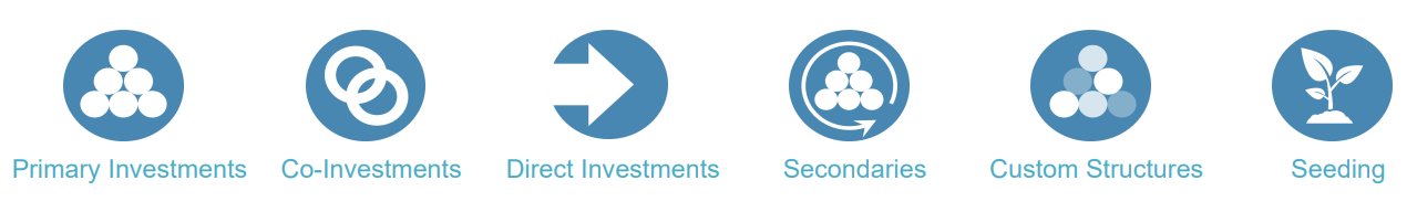 Primary investments, co-investments, direct investments, secondaries, custom structures, and seeding icons in blue.